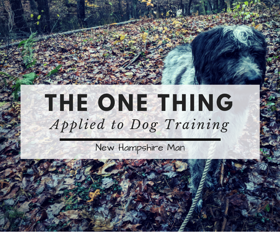 The One thing applied to dog training